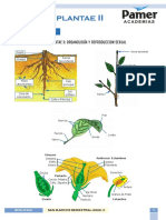 Biología - Reg 9 - Reino Plantae II