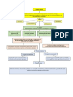 Curriculum Mapas Conceptuales