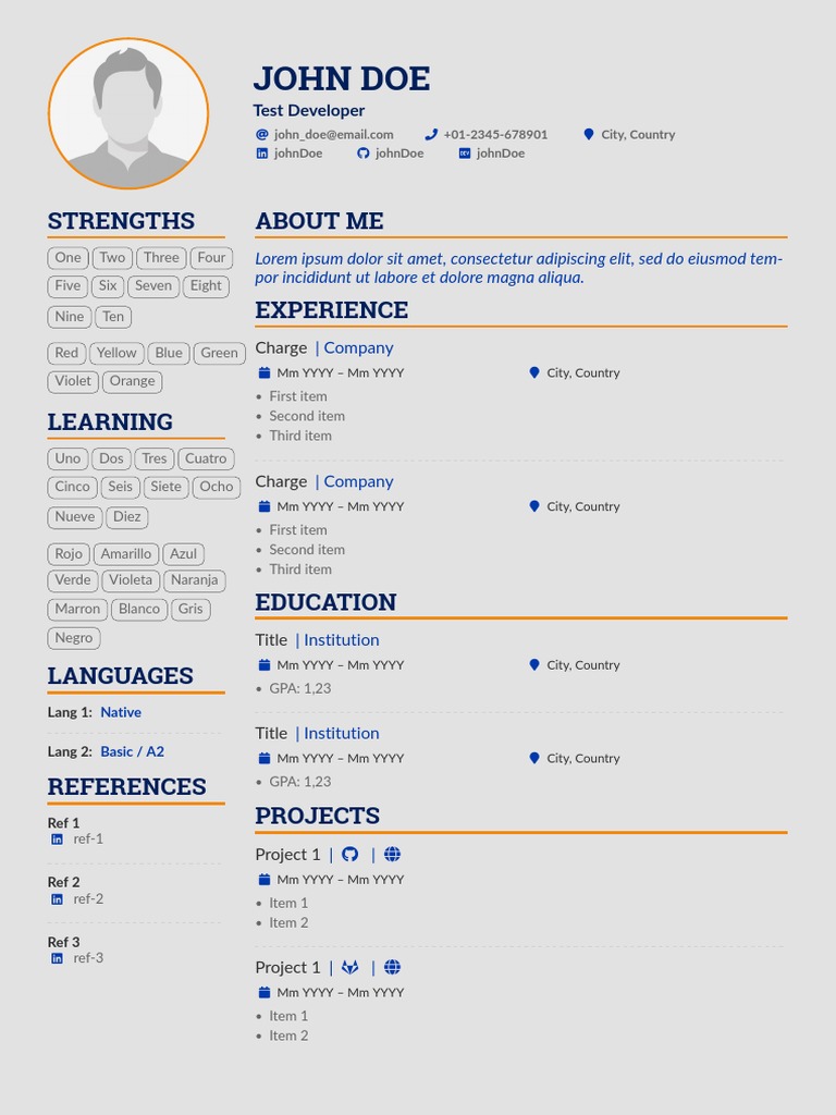John Doe - Test Developer Profile | PDF