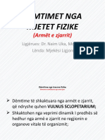 Demtimet Nga Armet e Zjarrit