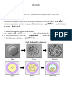 Stem Cells (1) - Compressed