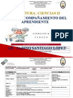 Formato Del Plan de Acompañamiento Del Aprendiente (Paa) Noviembre