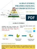 Aliran Energi, Piramida Ekologi, Dan Produktivitas