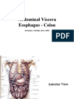 Abdomen - Esophagus To Colon