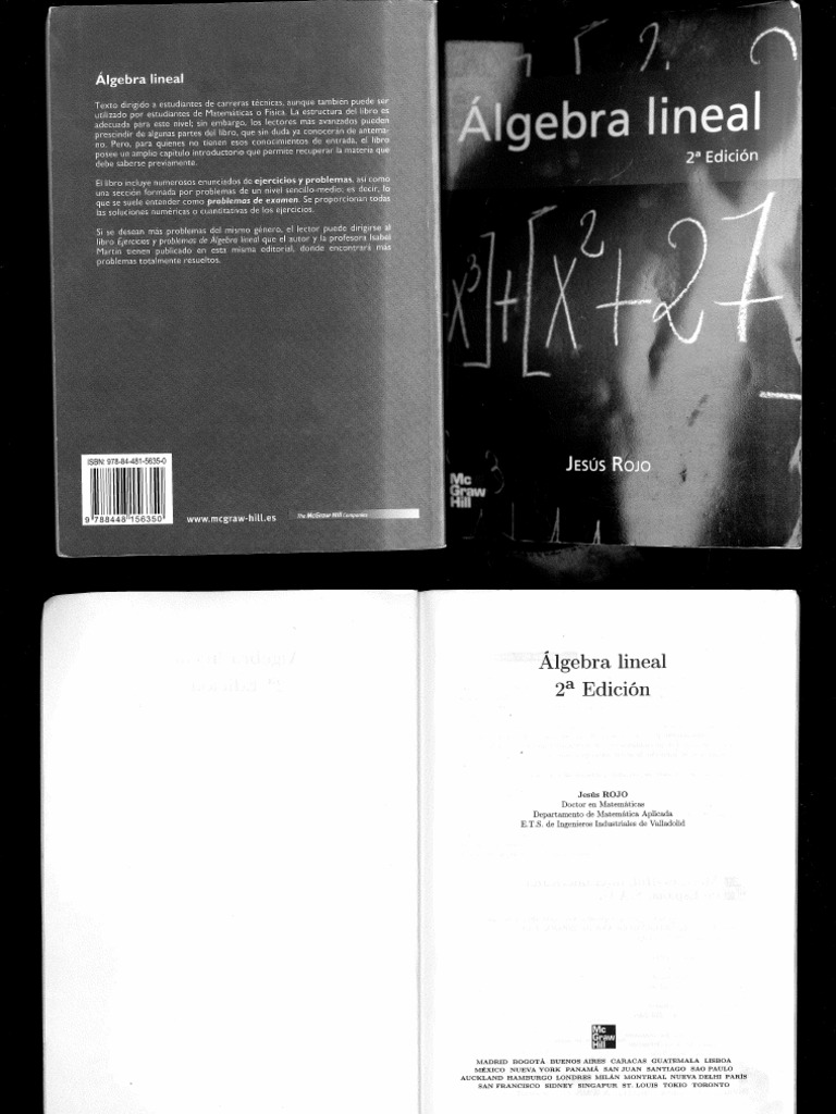 Rojo, Jesus - Algebra Lineal | PDF