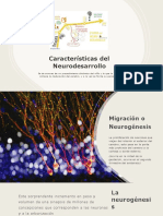 Exposición Del Neurodeasrrollo de Los Niños 0 A 1 Año