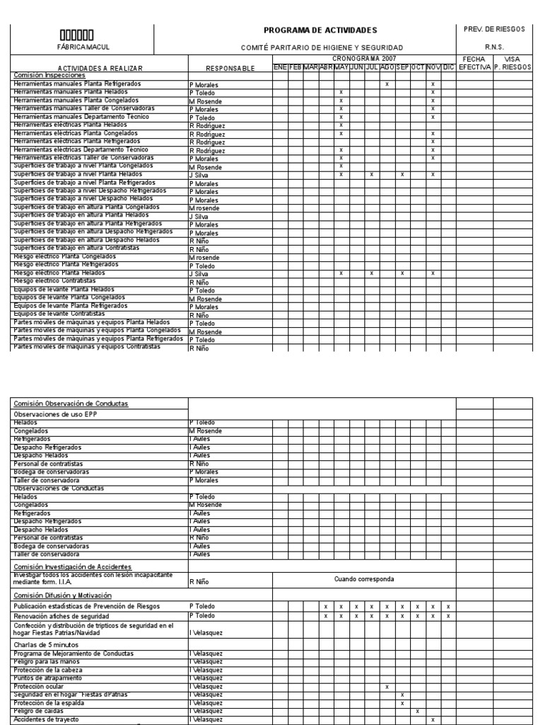 Programa de Prevención de Riesgos 2007 | PDF