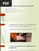 Manejo Ambiental en Cerdos en Fase de Crecimiento