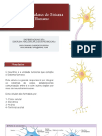 Componentes do SNC