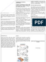 Orientações de Alta Aos Pais Folder