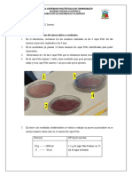 Resutlados Microbiologia Informe