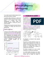 Glicogeno, Gluconeogenesis y Via de Las Pentosas Fosfato