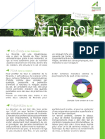 41 - Cultures - Bios - en - Lorraine - FEVEROLE - Fev2016 (PUPOS)