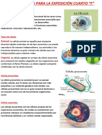 Organización para La Exposición Cuarto F (Cyt)