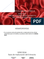 Fases maduración eritrocito hematología clínica