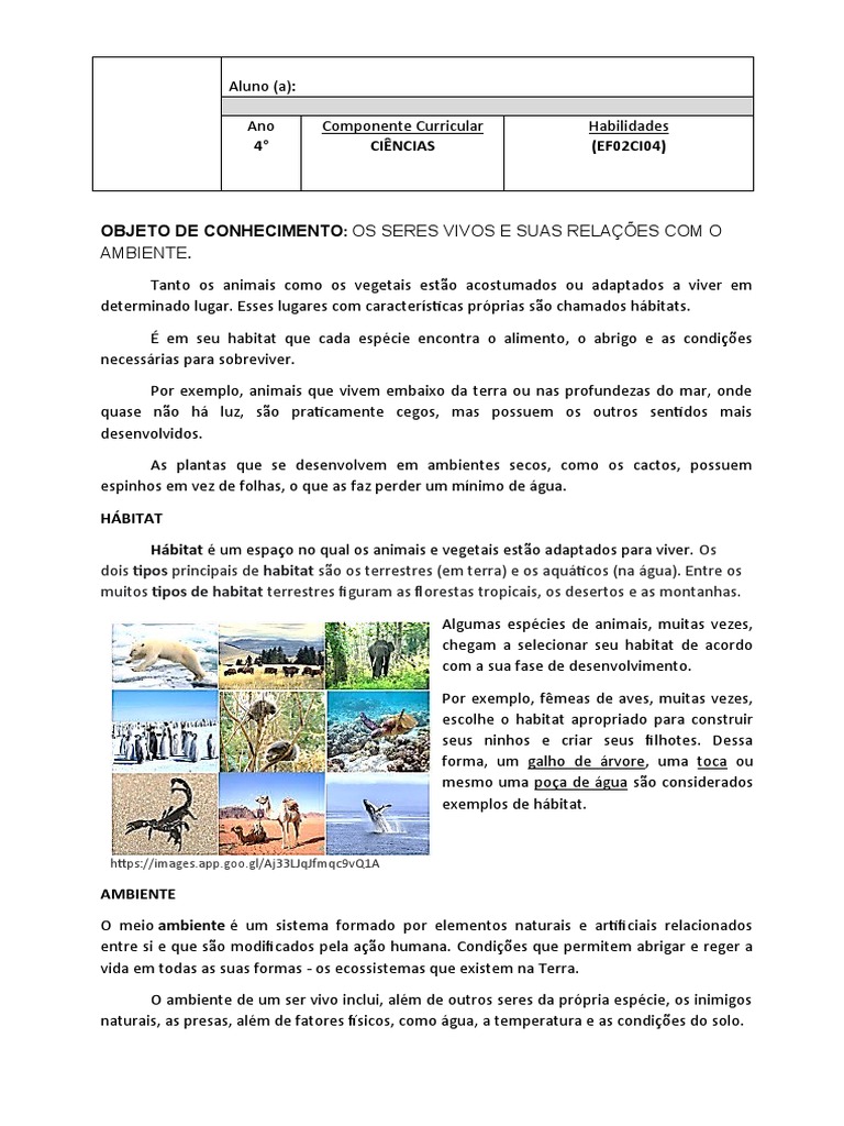 Os Seres Vivos 4°ano | PDF | Habitat | Ambiente natural