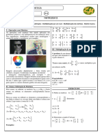 Apostila 1º Semestre Matrizes Parte II