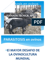 Parasitosis en Ovinos APCO
