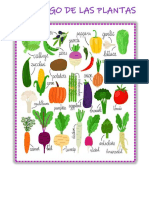 Catalogo de Las Plantas