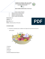 Célula Eucariota y Procariota BC-2021-2022 - G1