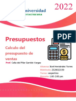 Ejercicio Ejemplo Presupuestos de Ventas