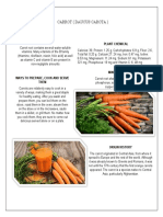 Carrot (Daucus Carota)