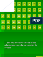 Preguntas de Repaso Hasta Visión