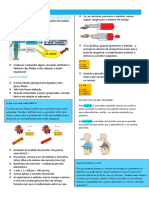 Revisão Biofísica 3