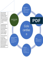 Mapa Anatomía Cardiovascular
