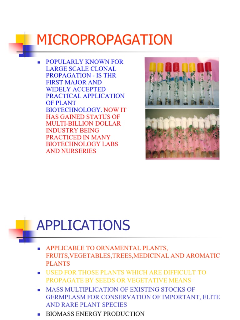 Micropropagation Applications Explained | PDF | Science & Mathematics