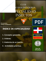 Diapositiva de Insectos