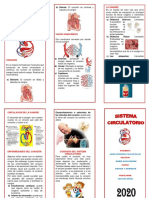 Aparato Circulatorio Triptico