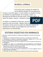 Fisiologia Animal (Digestion en Animales)