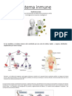 Anatomía Sem 16