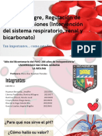 Diapositivas Del PH de La Sangre