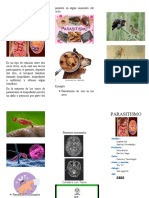 El Pasasitismo - Triptico