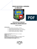 Informe de Quimica - Viii