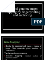 Physical Genome Maps