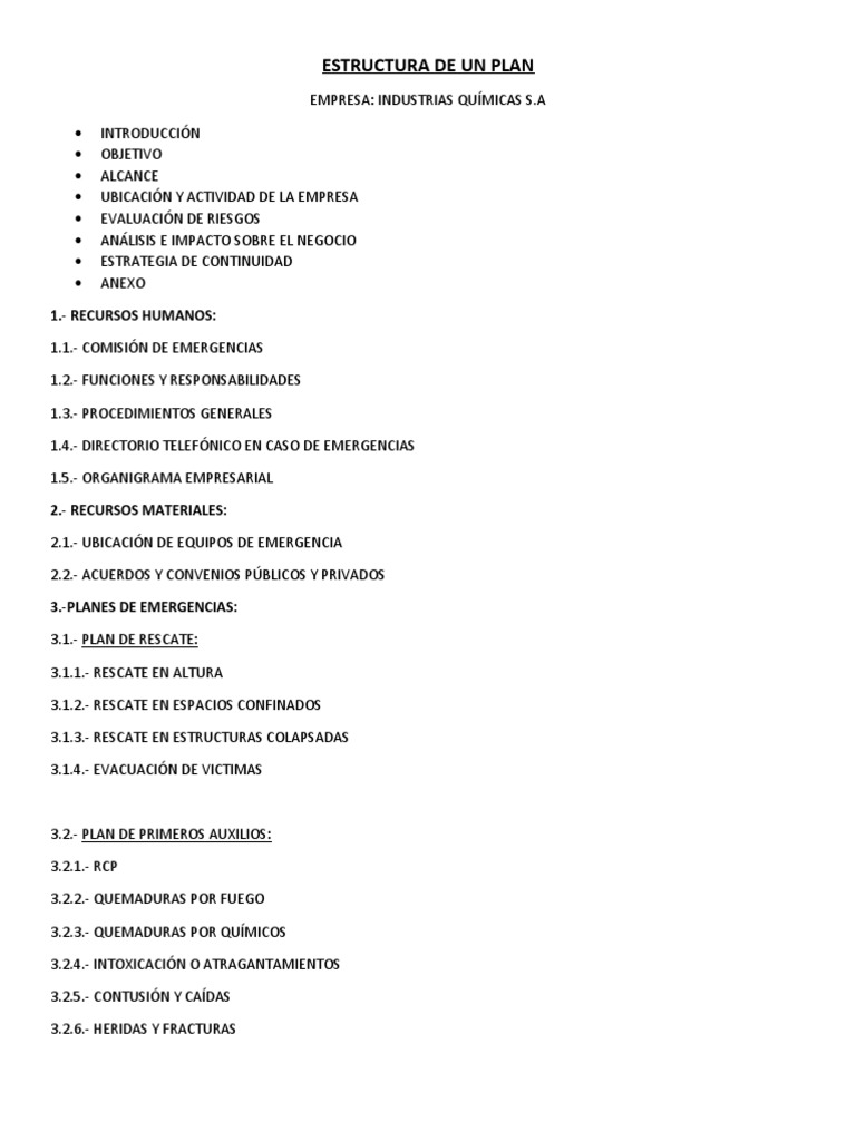 Estructura de Un Plan | PDF