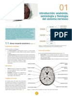 Neuroanatomía CTO