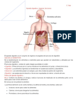 Tema Nº 7 El Aparato Digestivo C. Nat.