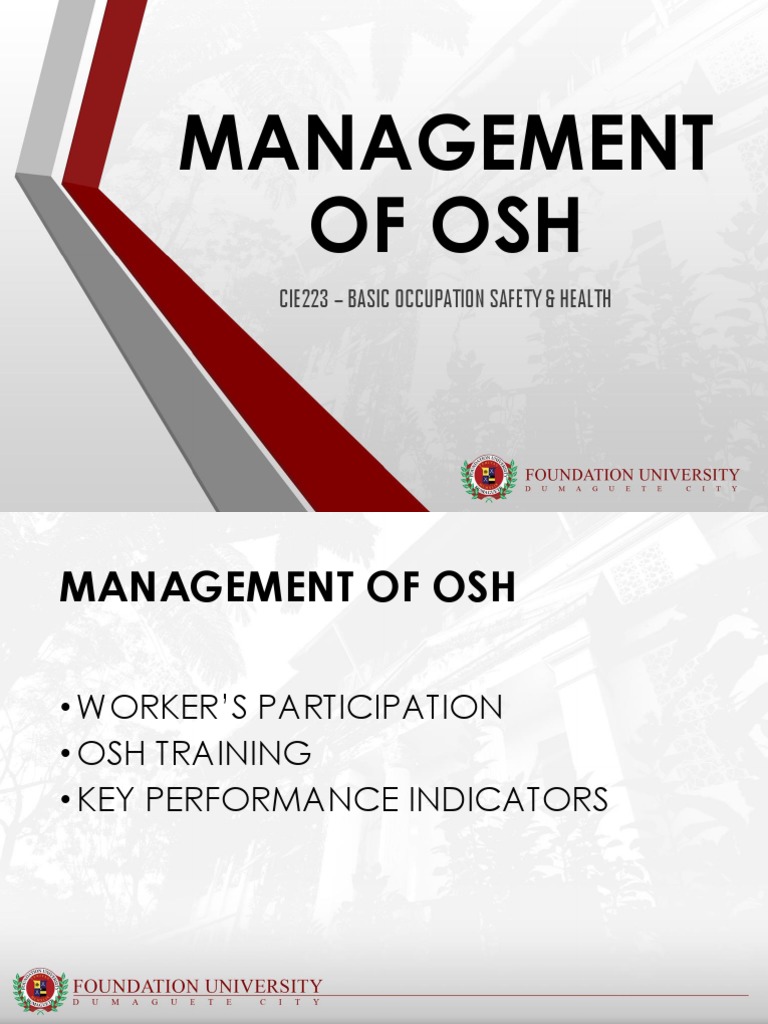Management of Osh PDF Occupational Safety And Health Performance Indicator