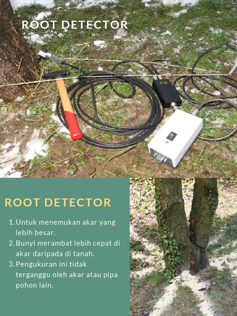 Present Root Detec & Arborsonic | PDF