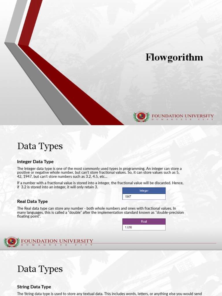 Flowgorithm | PDF | Data Type | Boolean Data Type