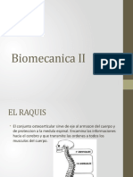 Biomecanica II