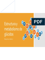 1.6 Estructura y Metabolismo de Glucidos
