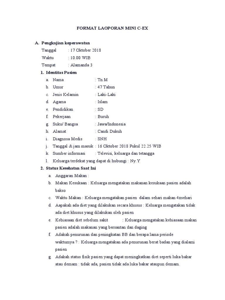 Pengkajian Mini Cex | PDF
