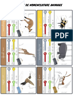 Cartes Nomenclature 2