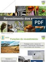 Revestimento Dos Animais