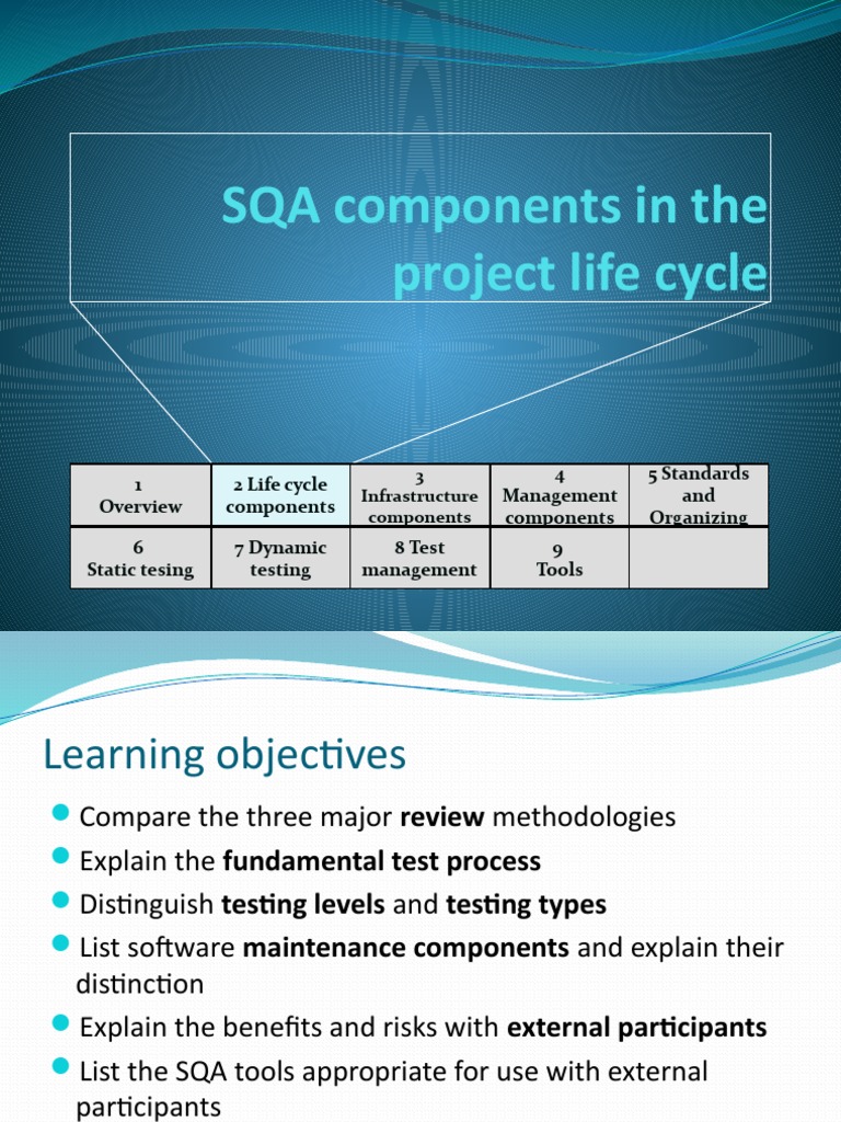 SQA Components in Project Lifecycle | PDF | Software Testing | Project ...